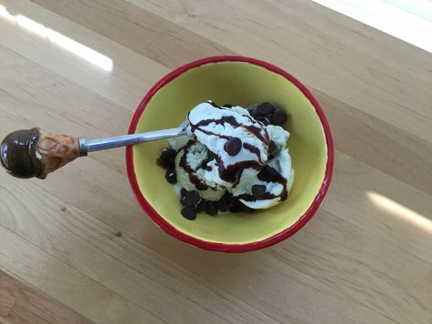 Ice cream in bowl top view Ostroff August 2016