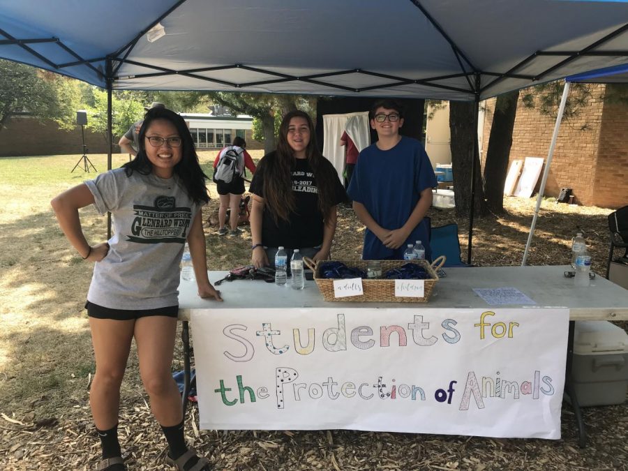 Students for the Protection of Animals (SFPA) Helps Local Animals, Grows Clubs Influence